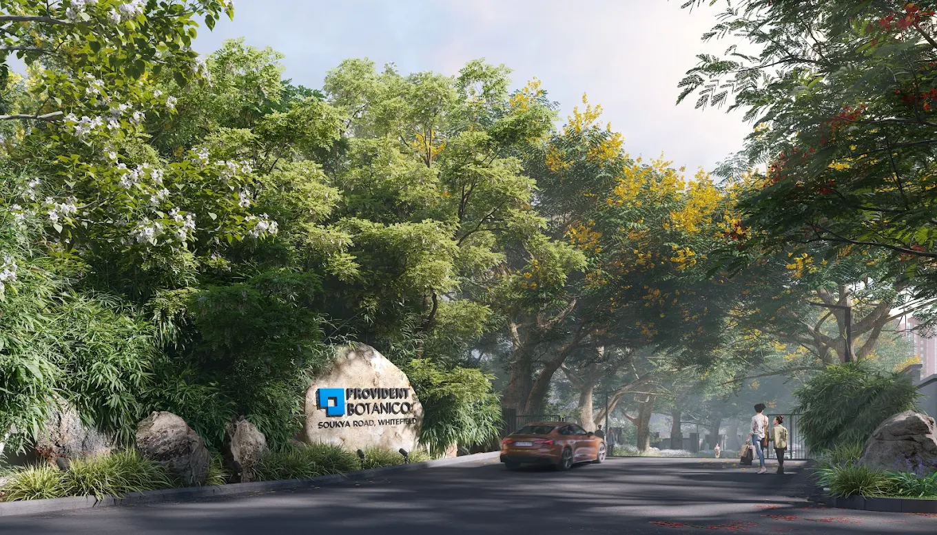 Provident Botanico Gallery